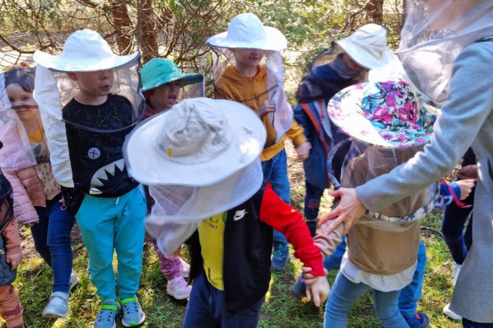 Mali praktykanci z przedszkola niepublicznego Sggw poznają tajniki zawodu pszczelarza.
